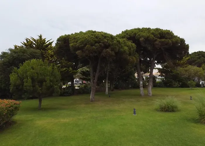 Cascais, Bicuda *