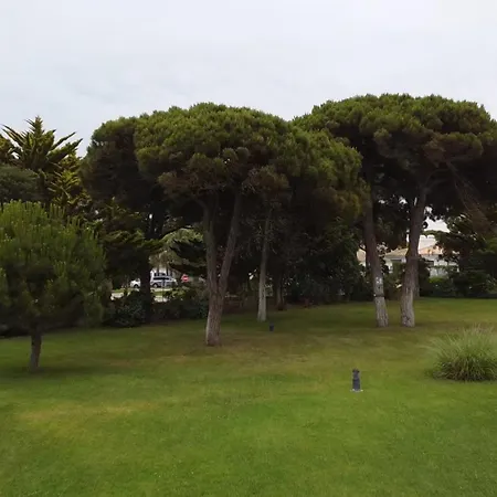 Cascais, Bicuda *